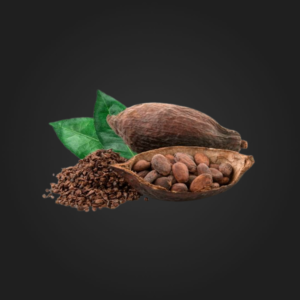 Fruct de cacao