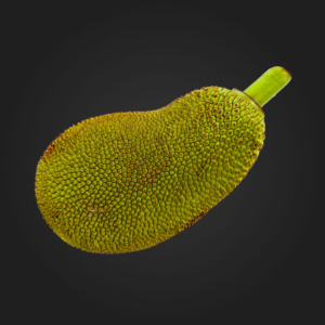 Jackfruit